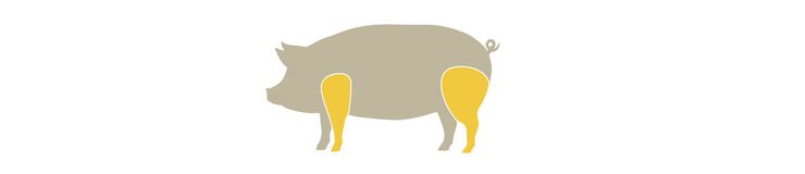 landing_header_jamon_comoelegirtujamon